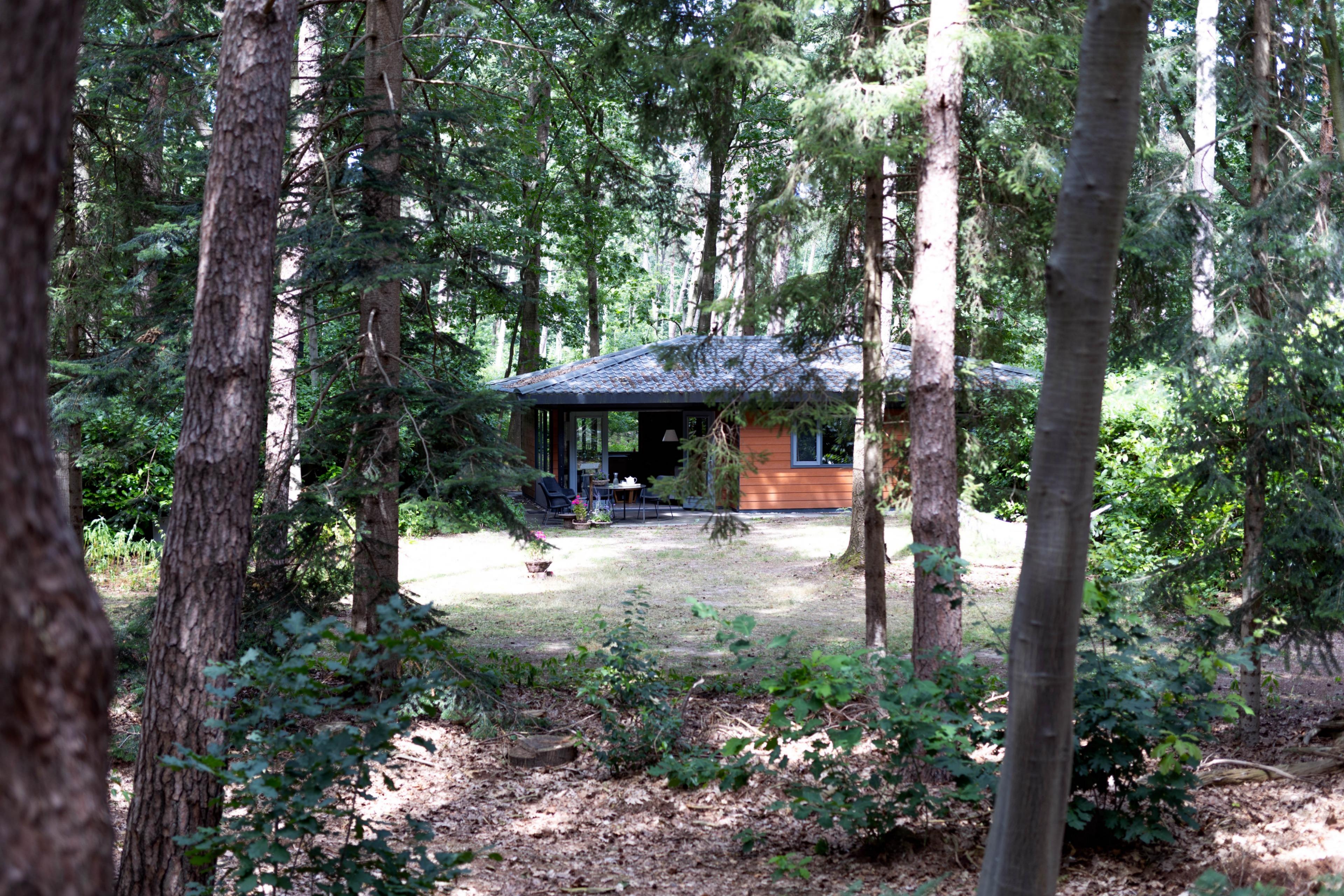 Natuurhuisje in Voorthuizen