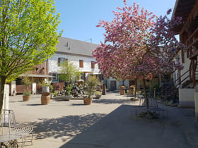 Natuurhuisje in Münstermaifeld