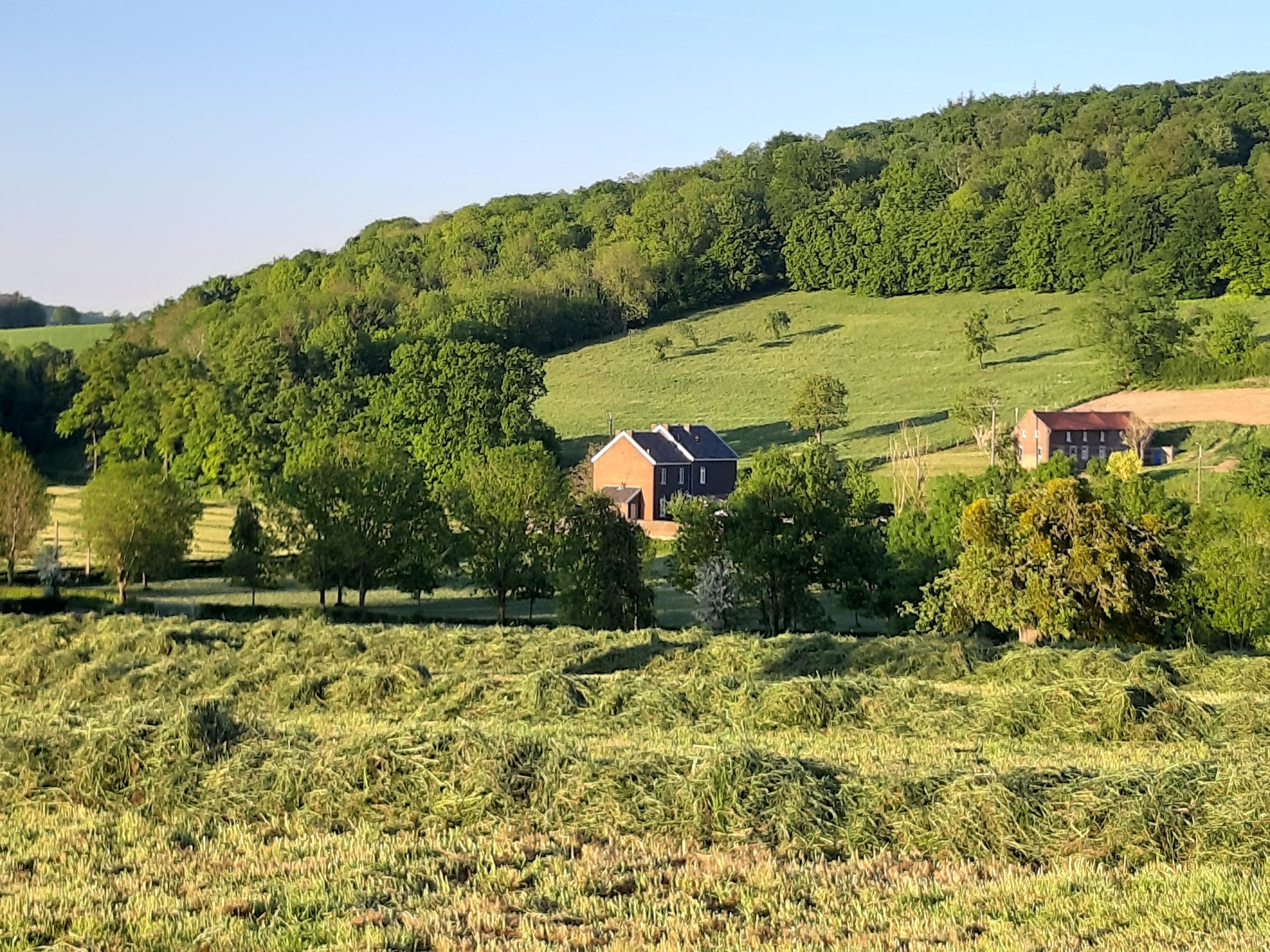 Maison nature à St.-Pieters-Voeren