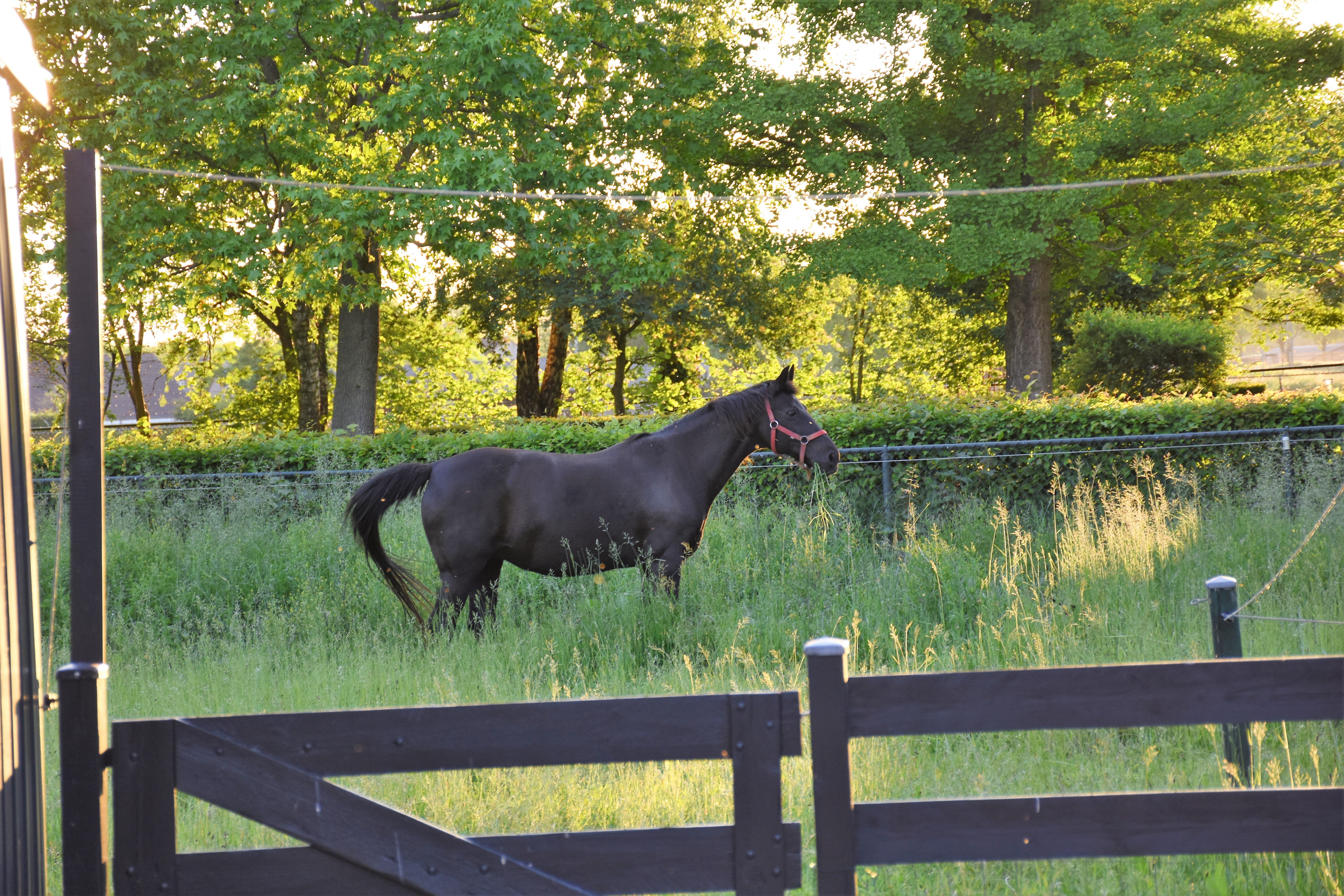 Natuurhuisje in Baexem