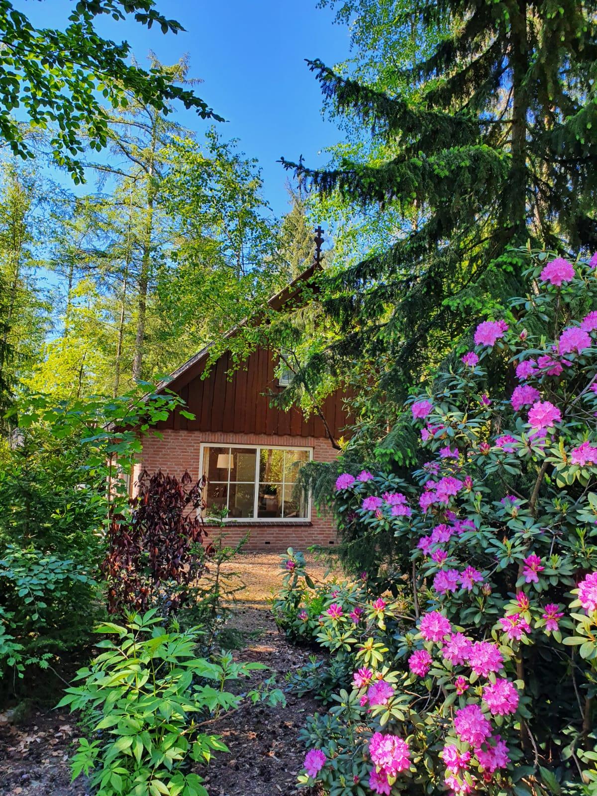 Maison nature à Deurningen