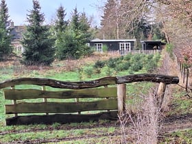 Naturhäuschen in Odoorn