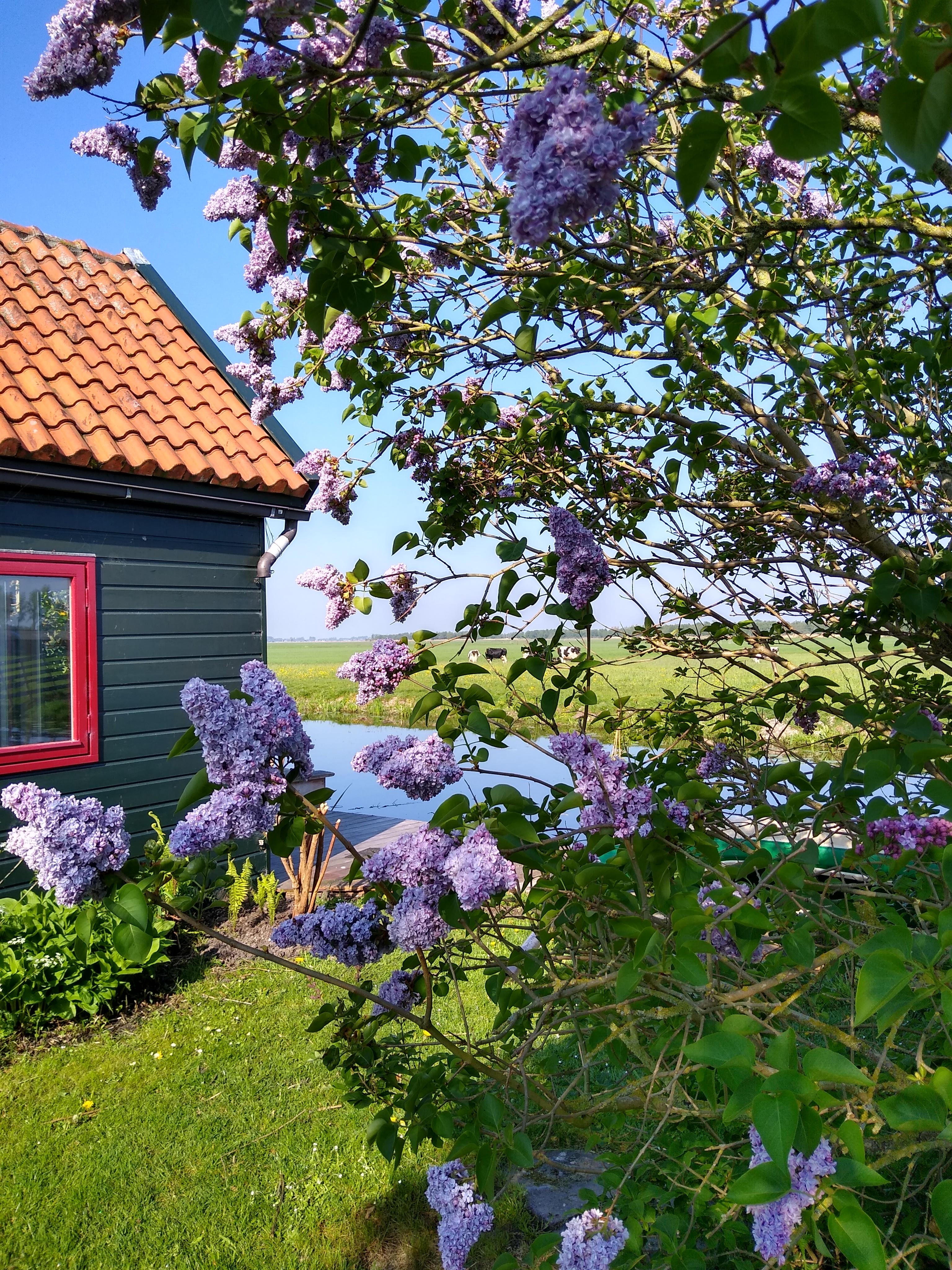 Maison nature à Bodegraven