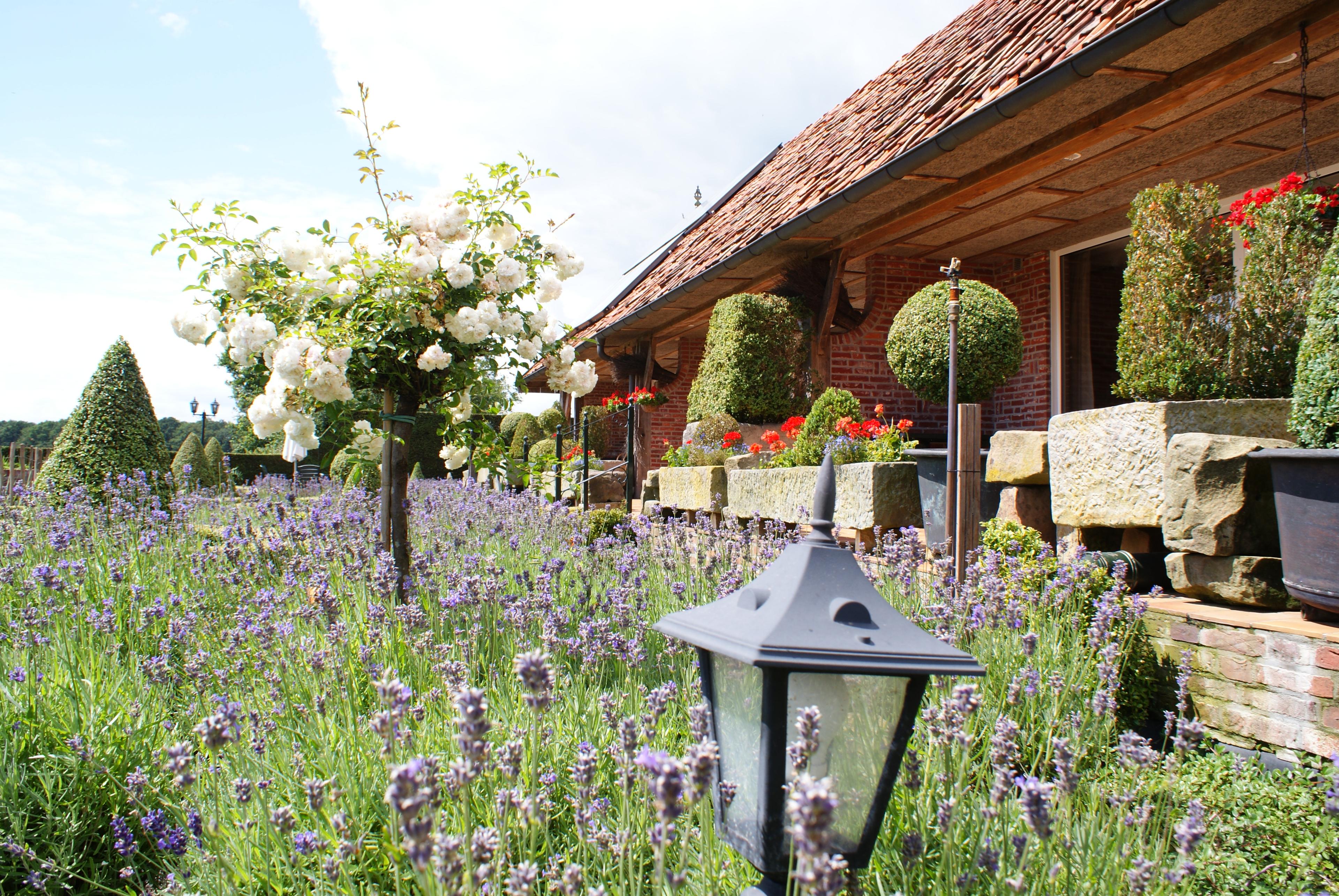 Nature house in Vasse