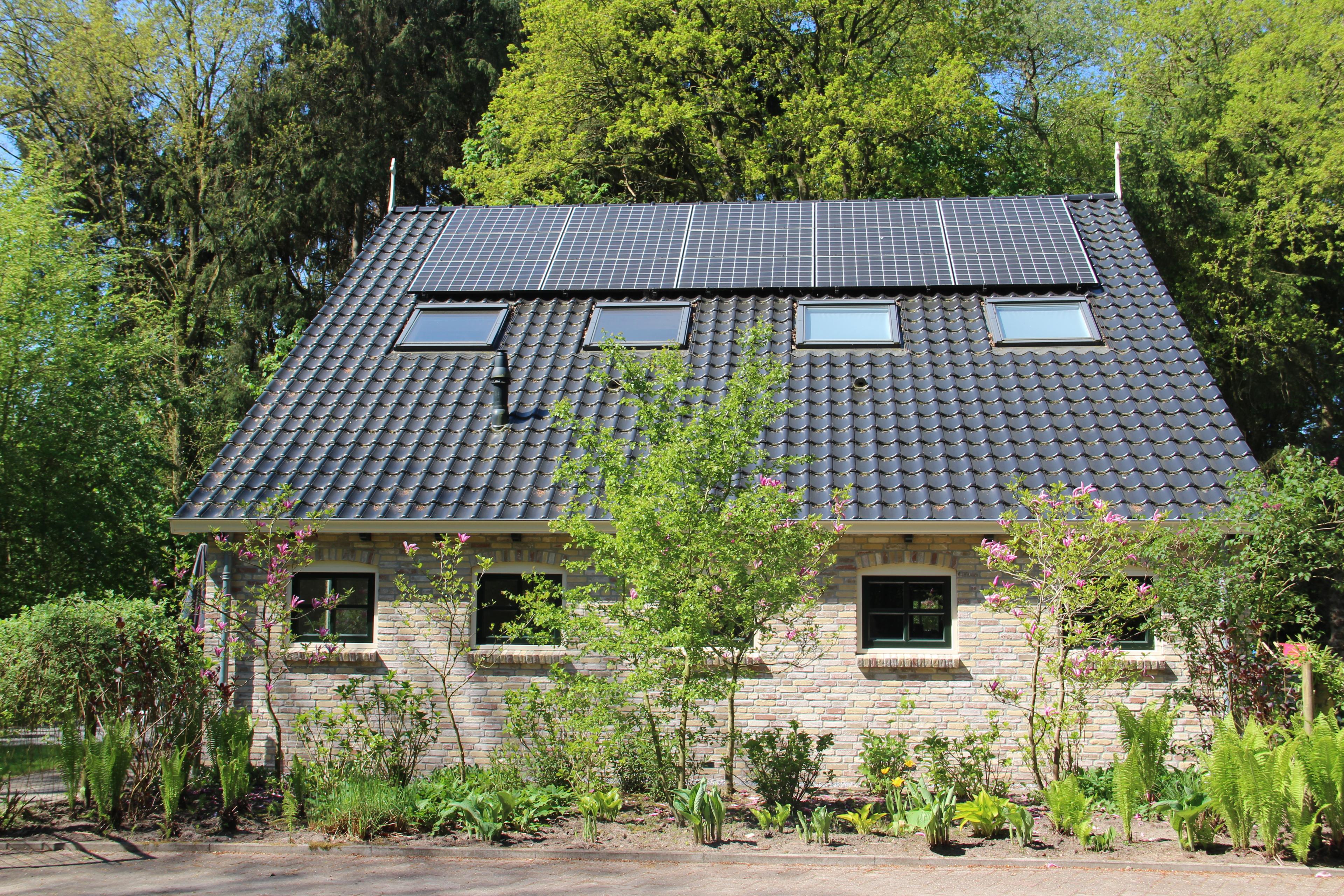 Maison nature à Oudemirdum