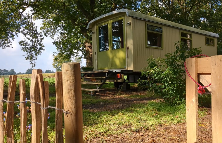 Pipowagen in Donkerbroek — foto 1