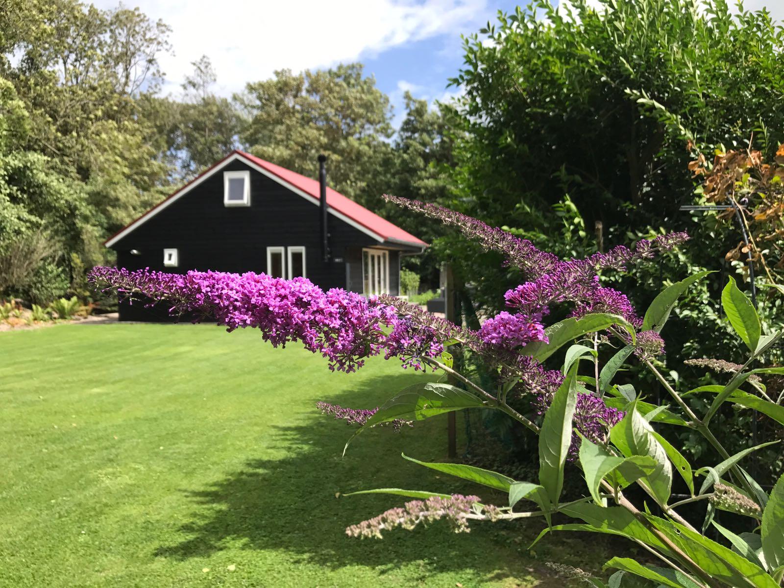 Nature house in Egmond aan den Hoef