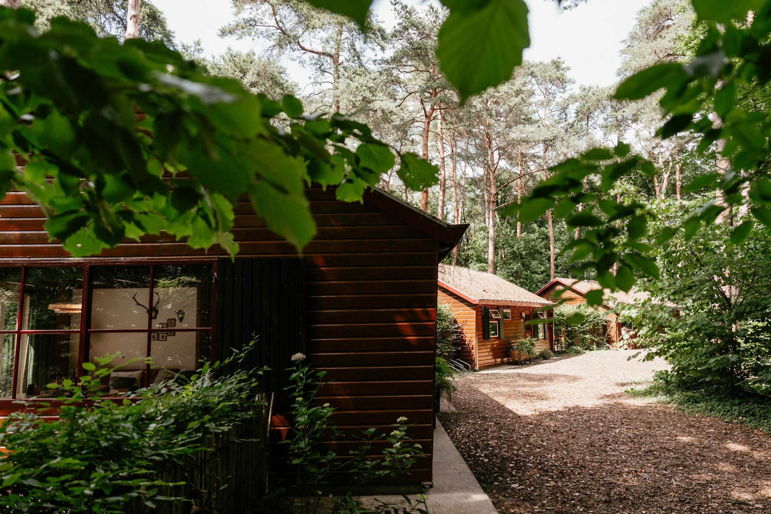 Maison nature à Oisterwijk