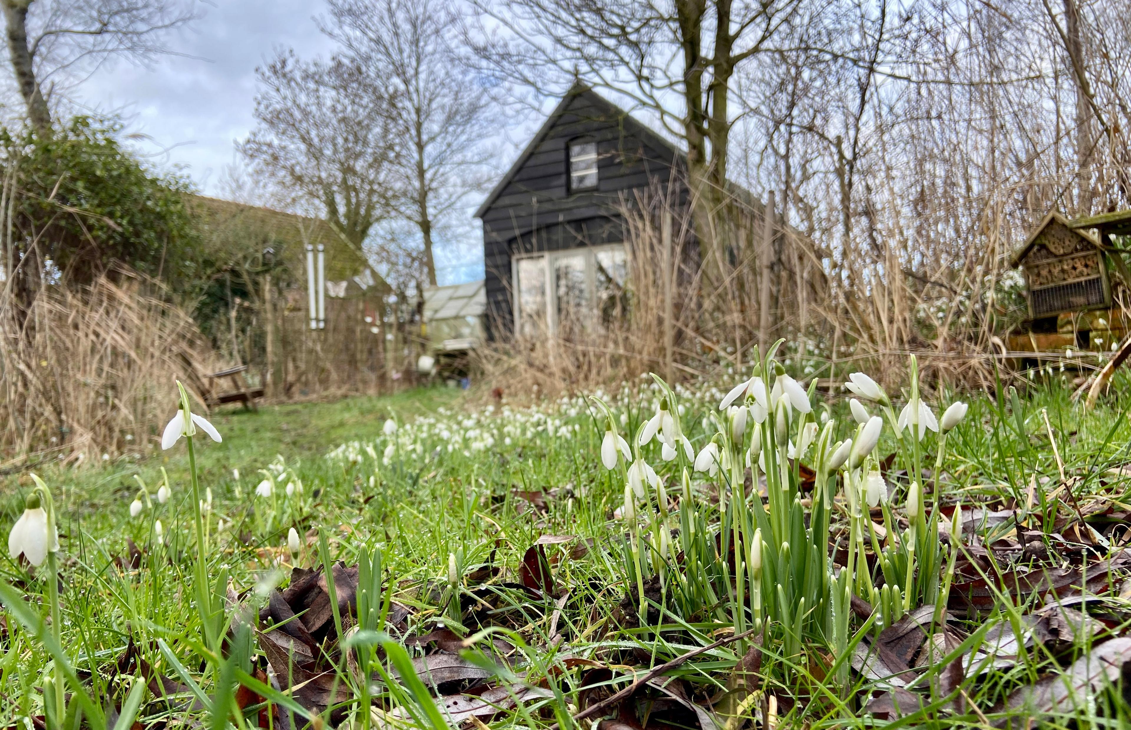 Nature house in Kamperland