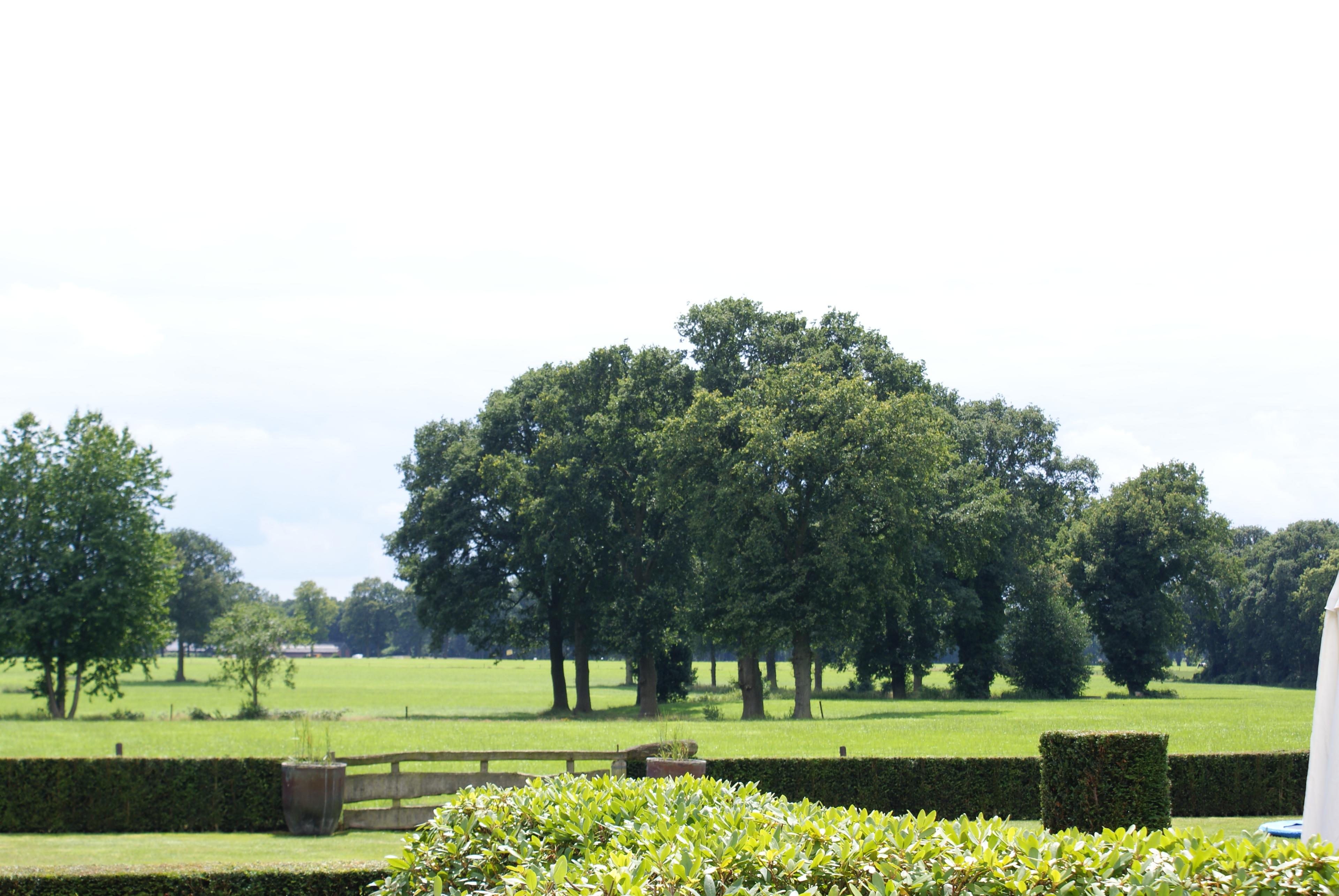 Nature house in Vasse