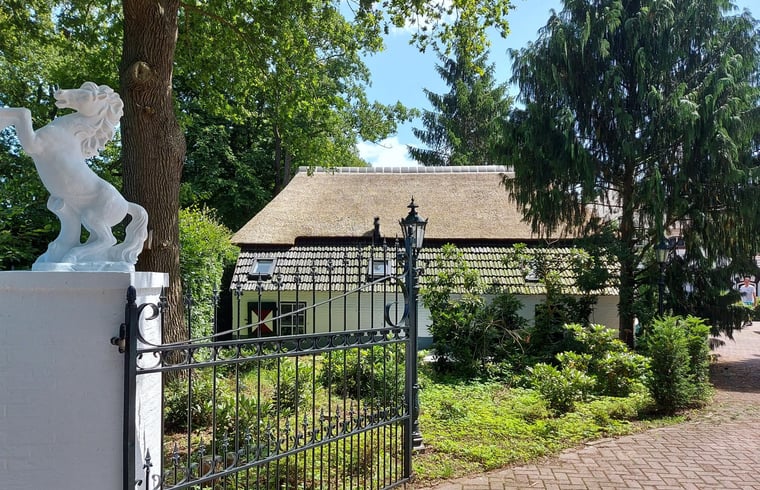 Boerderij in holten — foto 3