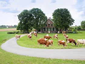 Casa nella natura a Nieuwveen