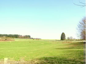 Natuurhuisje in Breda