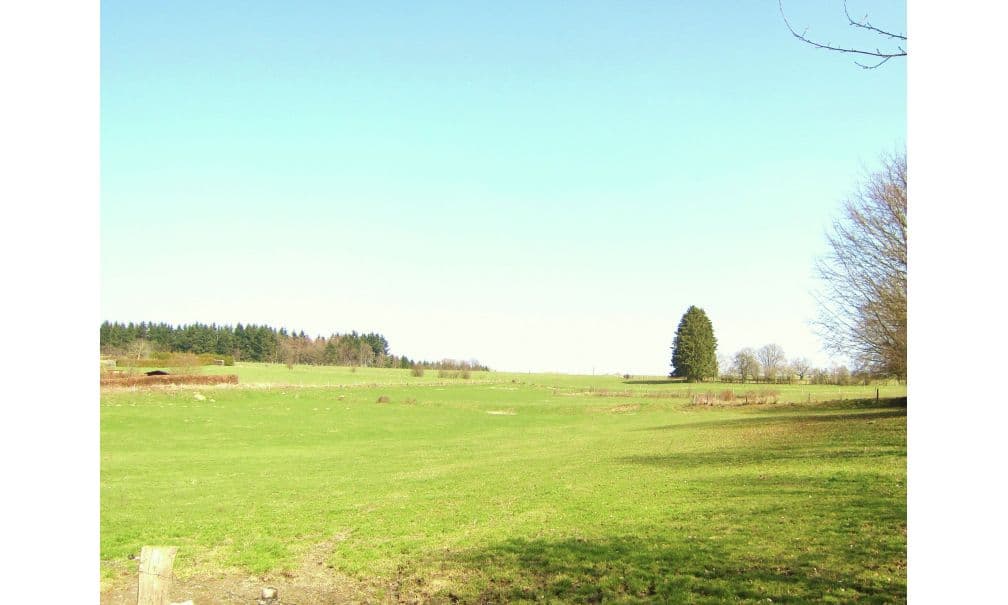 Nature house in Breda