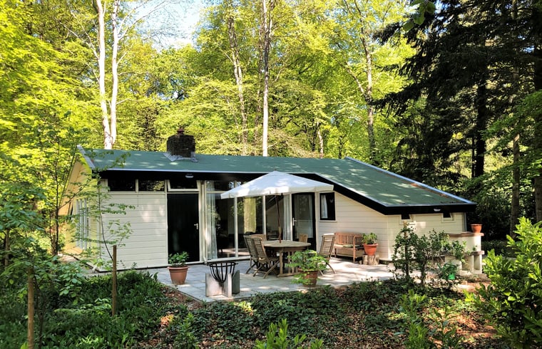 Bungalow in Oudemirdum — foto 3