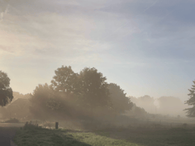 Naturhäuschen in Rheden