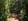 - image: 34