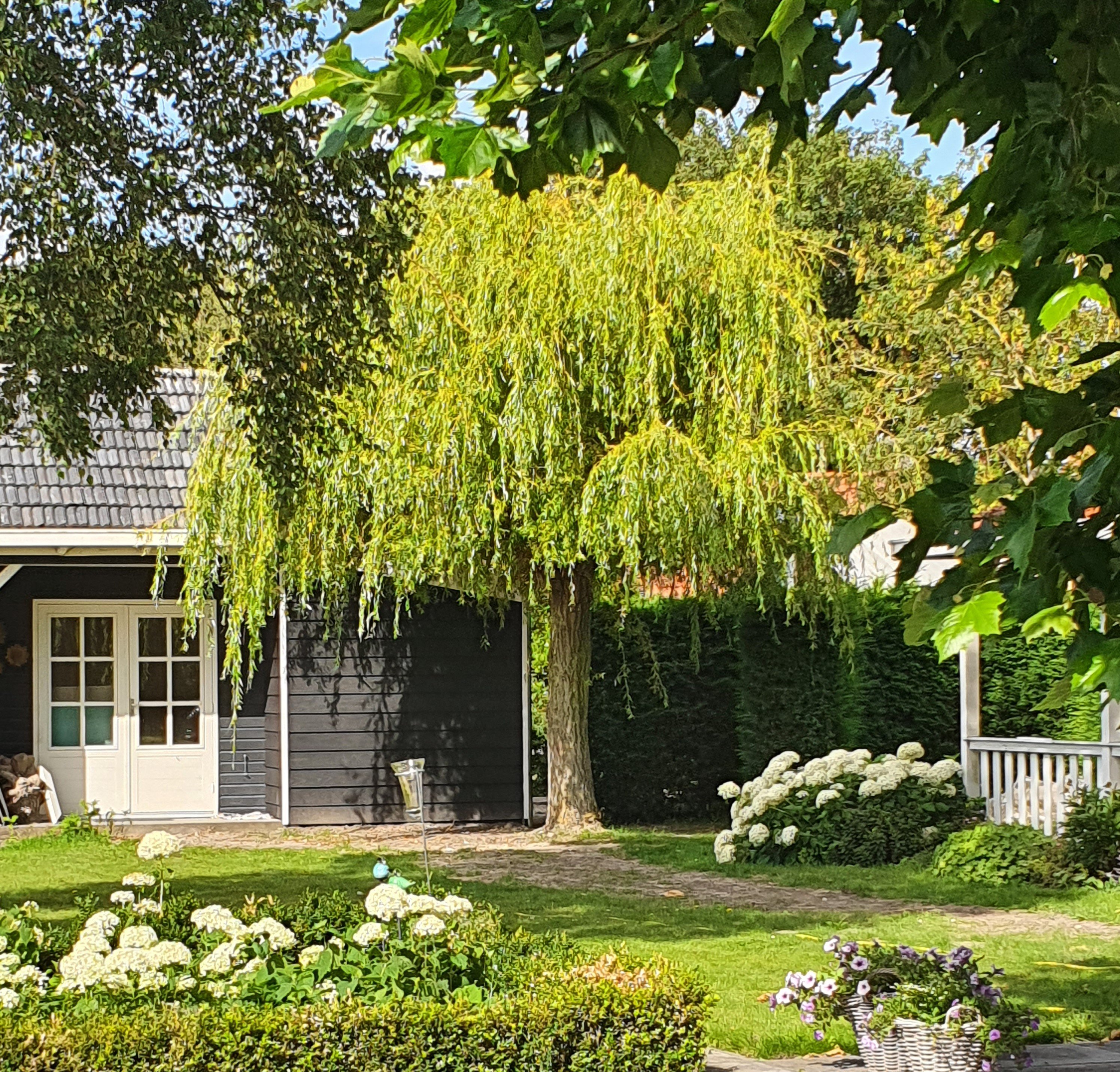 Natuurhuisje in Lewedorp