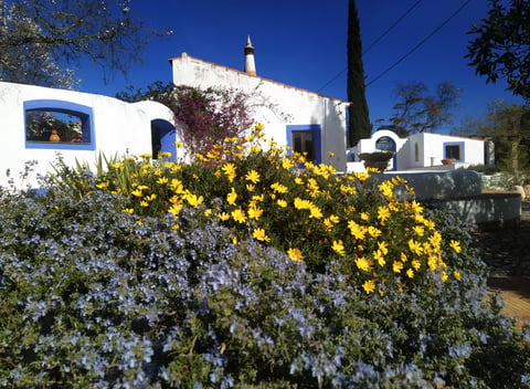 Nature house in Silves: 6