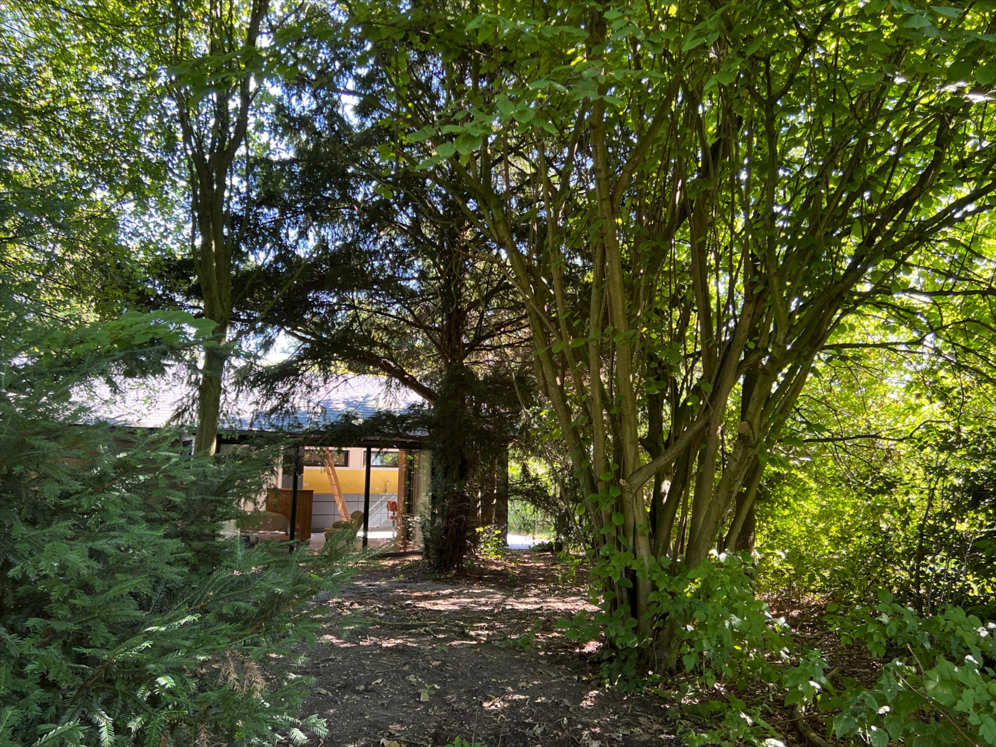 Maison nature à Voorschoten