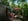 Nature house in Bellingwolde