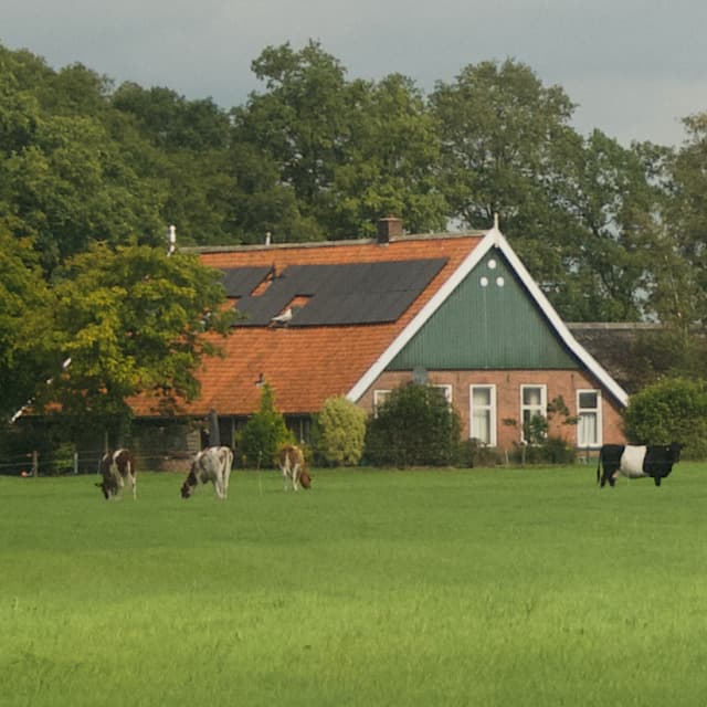 Maison nature à Albergen