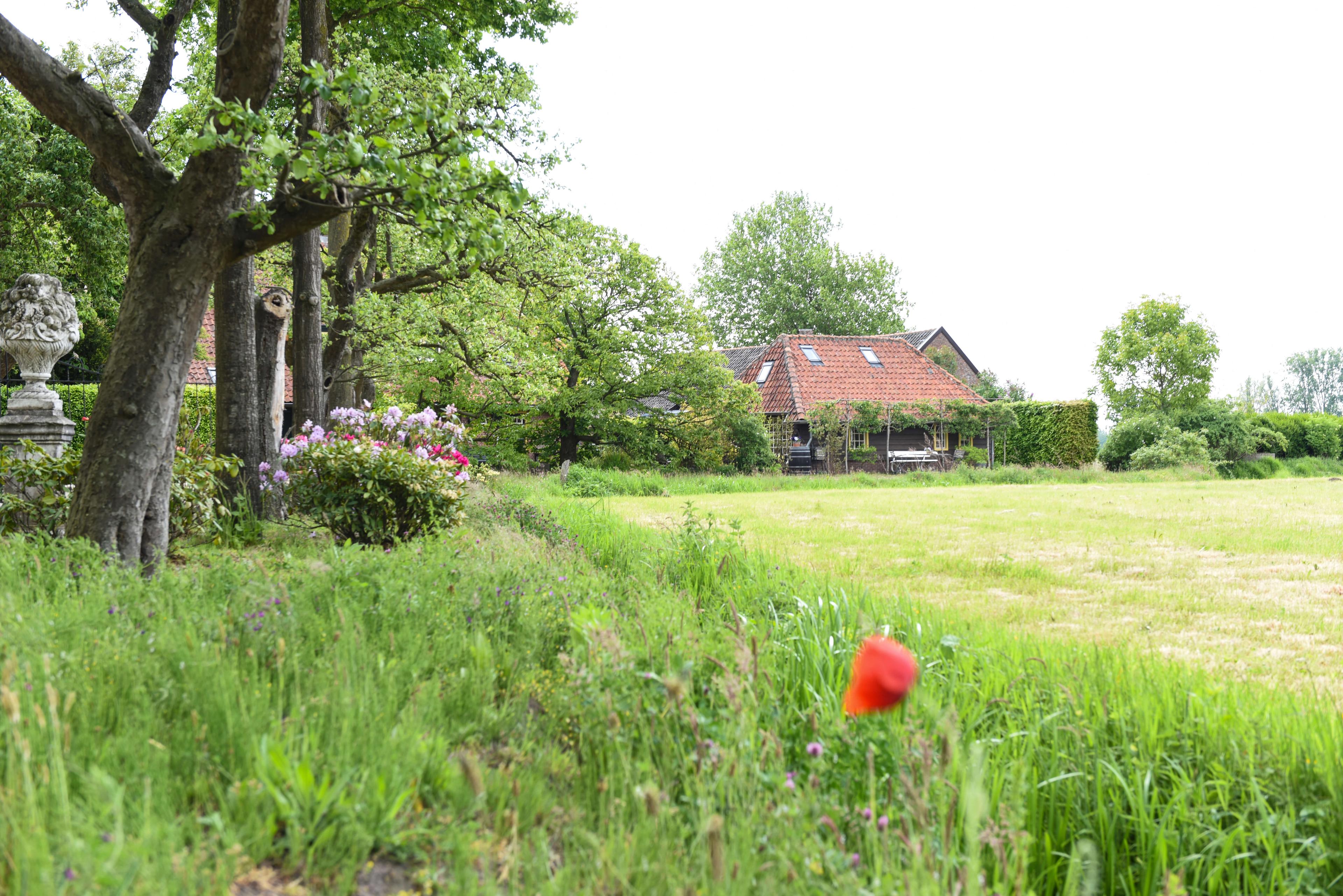 Nature house in Esch