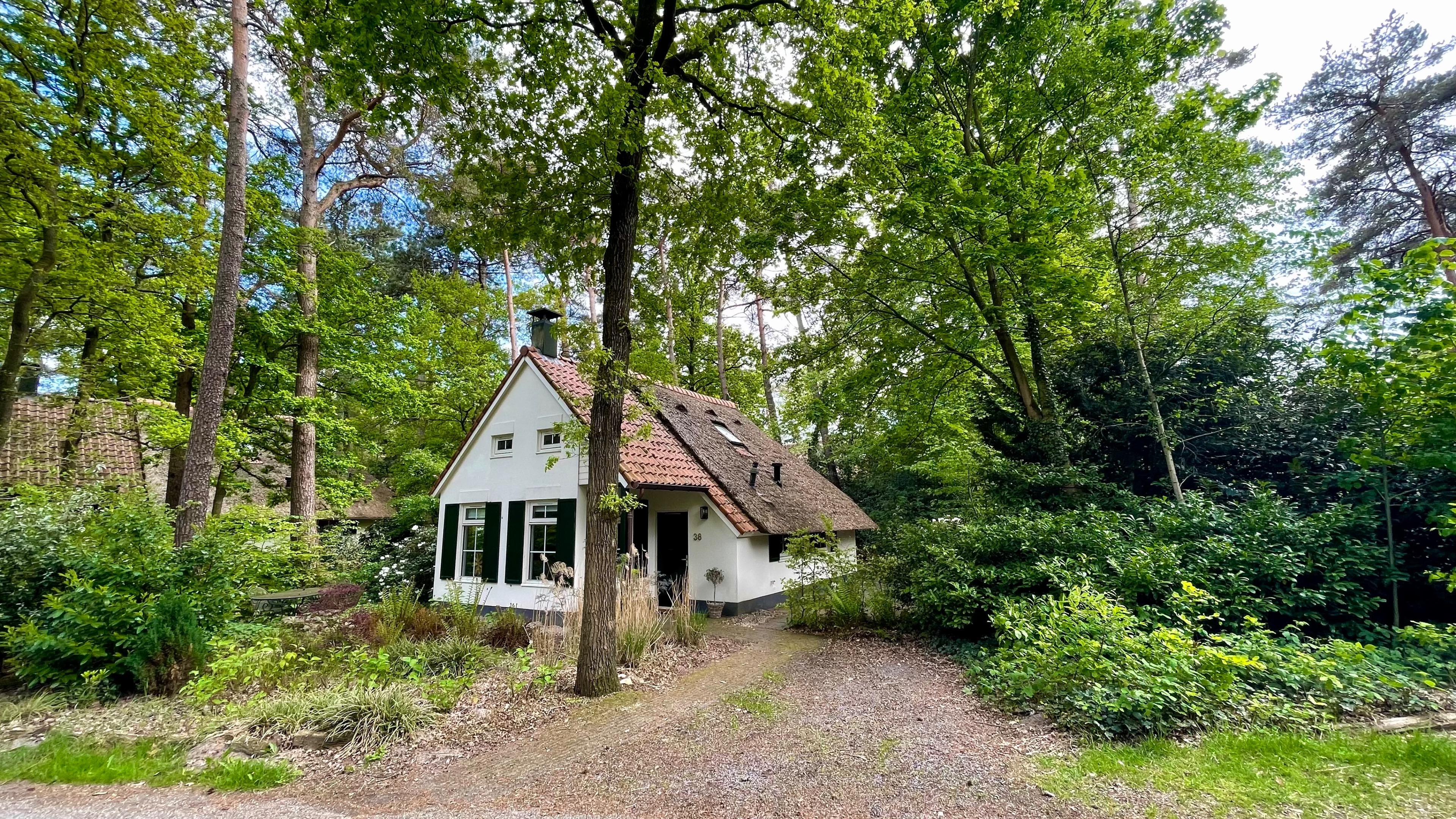 Natuurhuisje in IJhorst
