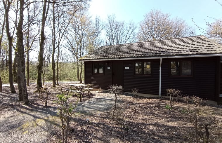 Chalet in Rendeux — foto 2