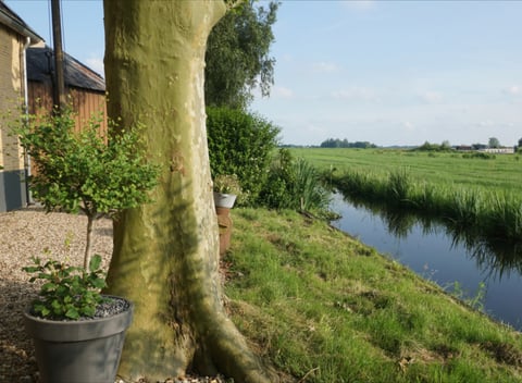 Nature house in Stolwijk - thumbnail: 24: 24