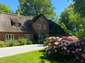 Maison nature à Oldenswort