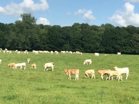 Naturhäuschen in Walincourt