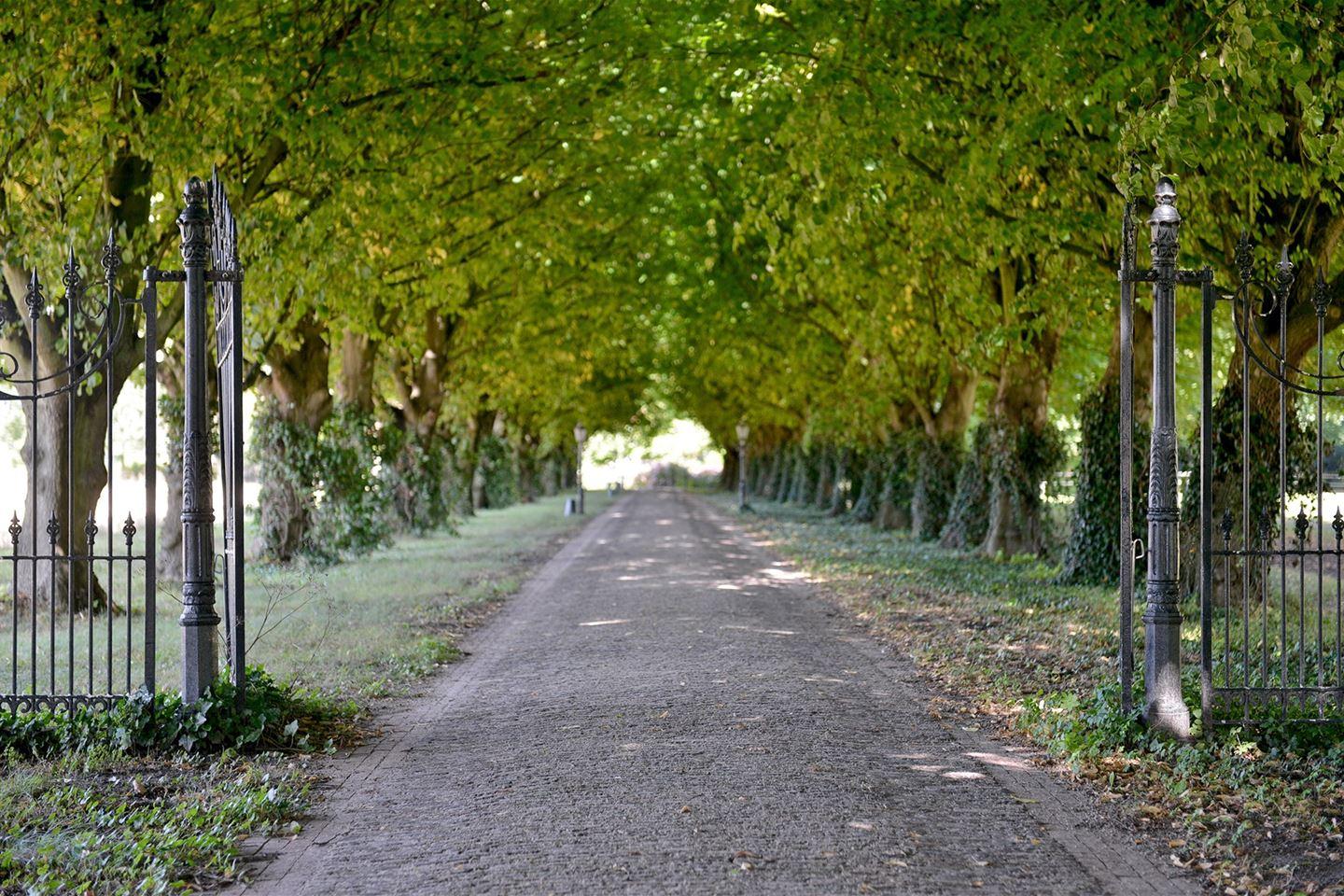 Maison nature à Schouwen-Duiveland