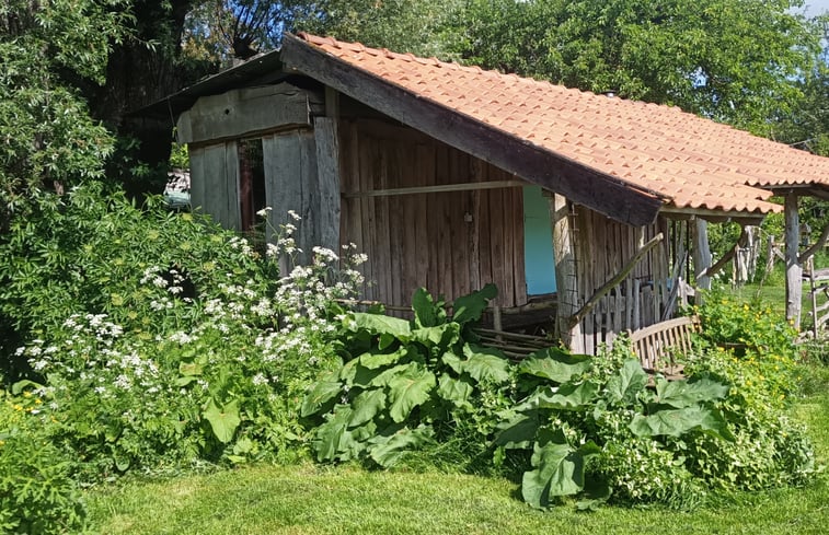 Natuurhuisje in Kesteren