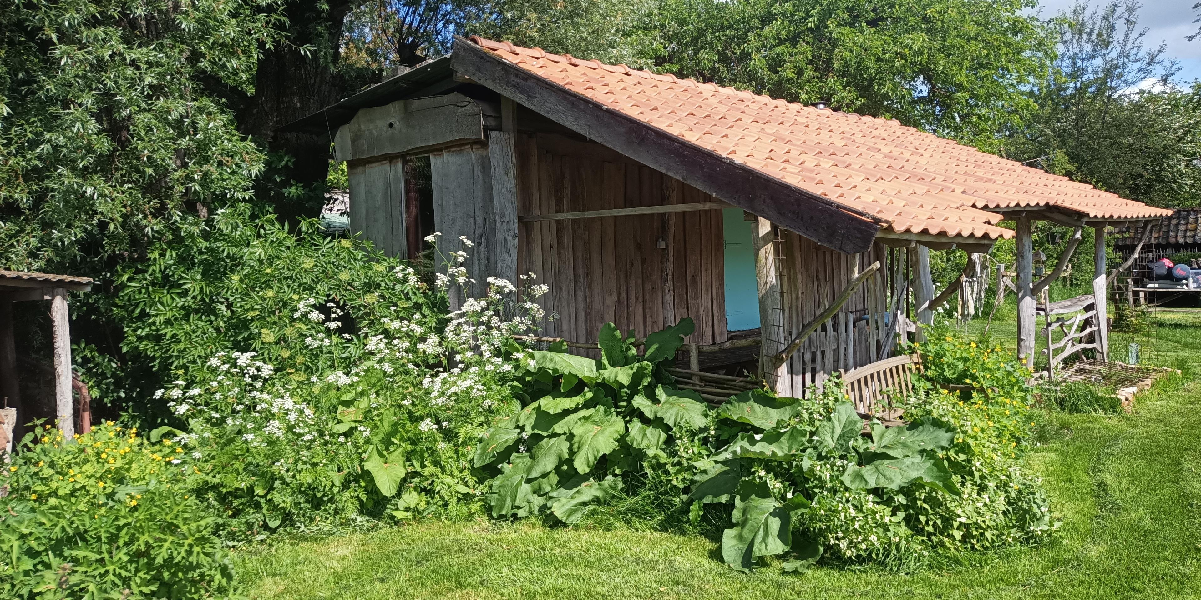 Maison nature à Kesteren