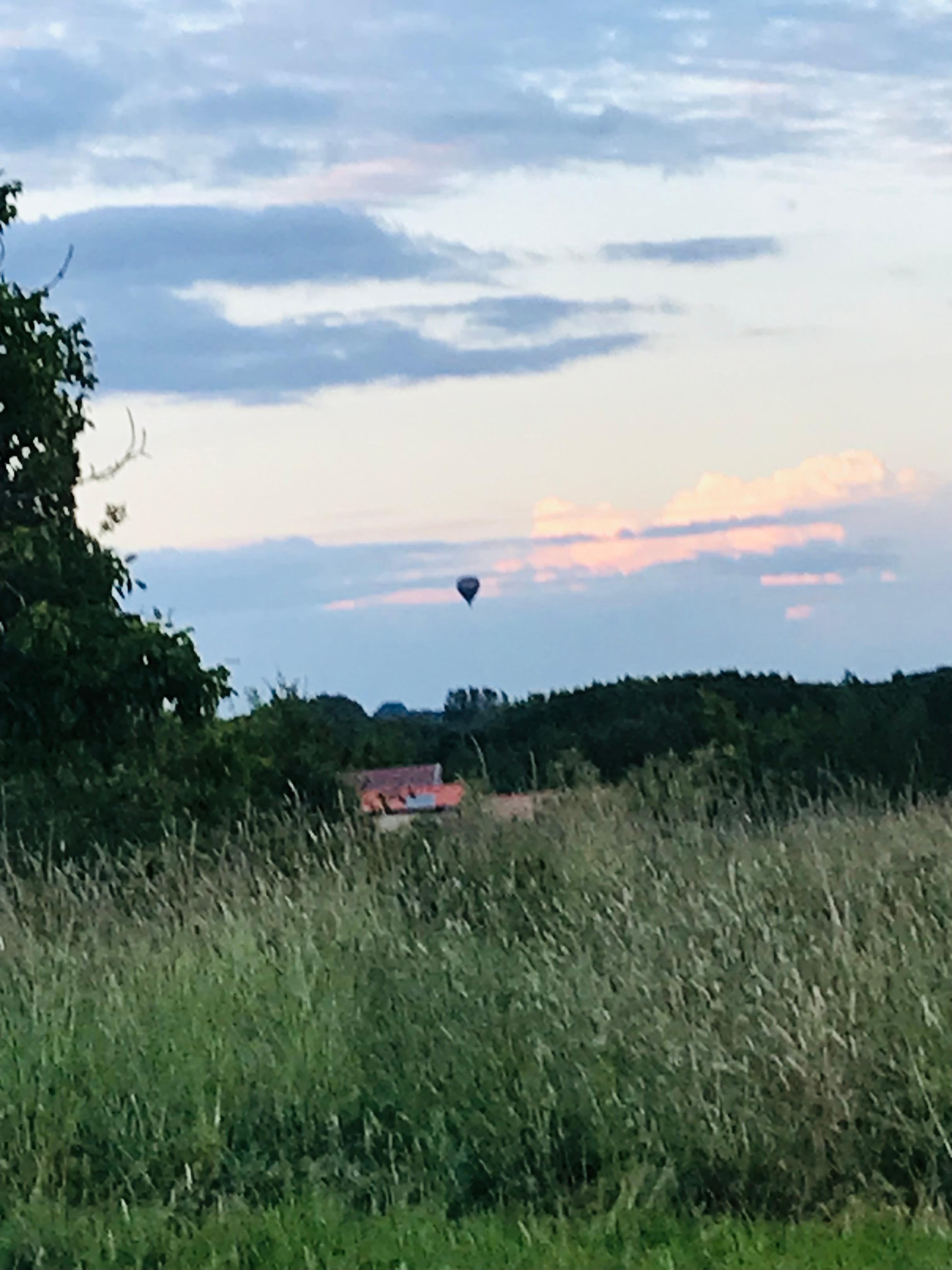 Natuurhuisje in Elzele