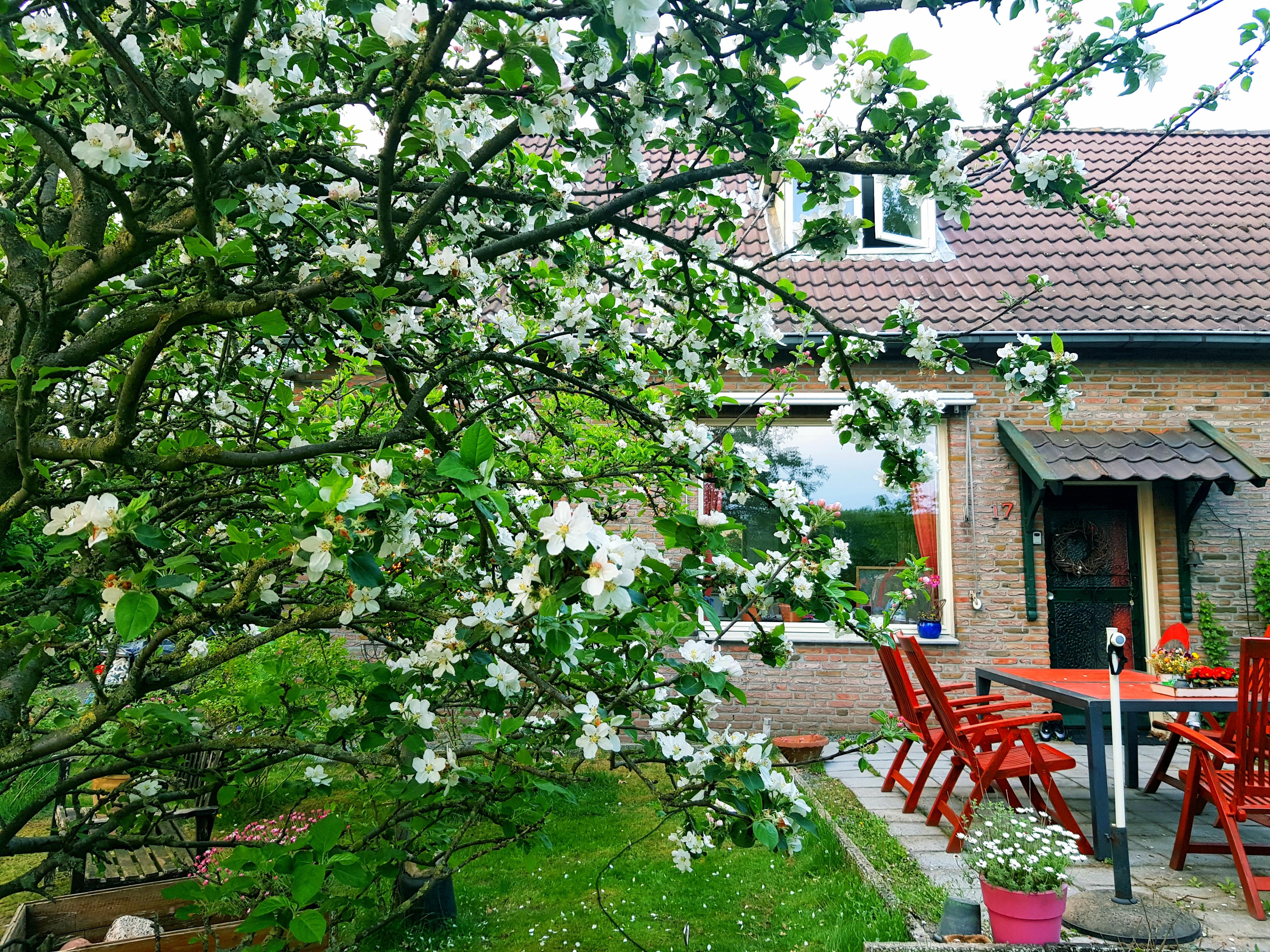 Nature house in Overdinkel