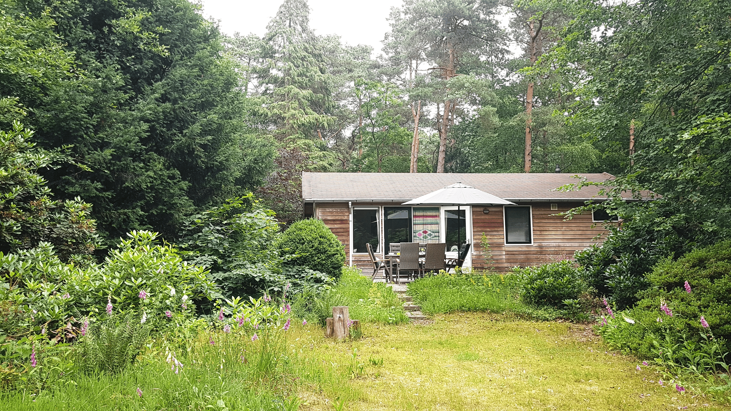 Maison nature à Bennekom