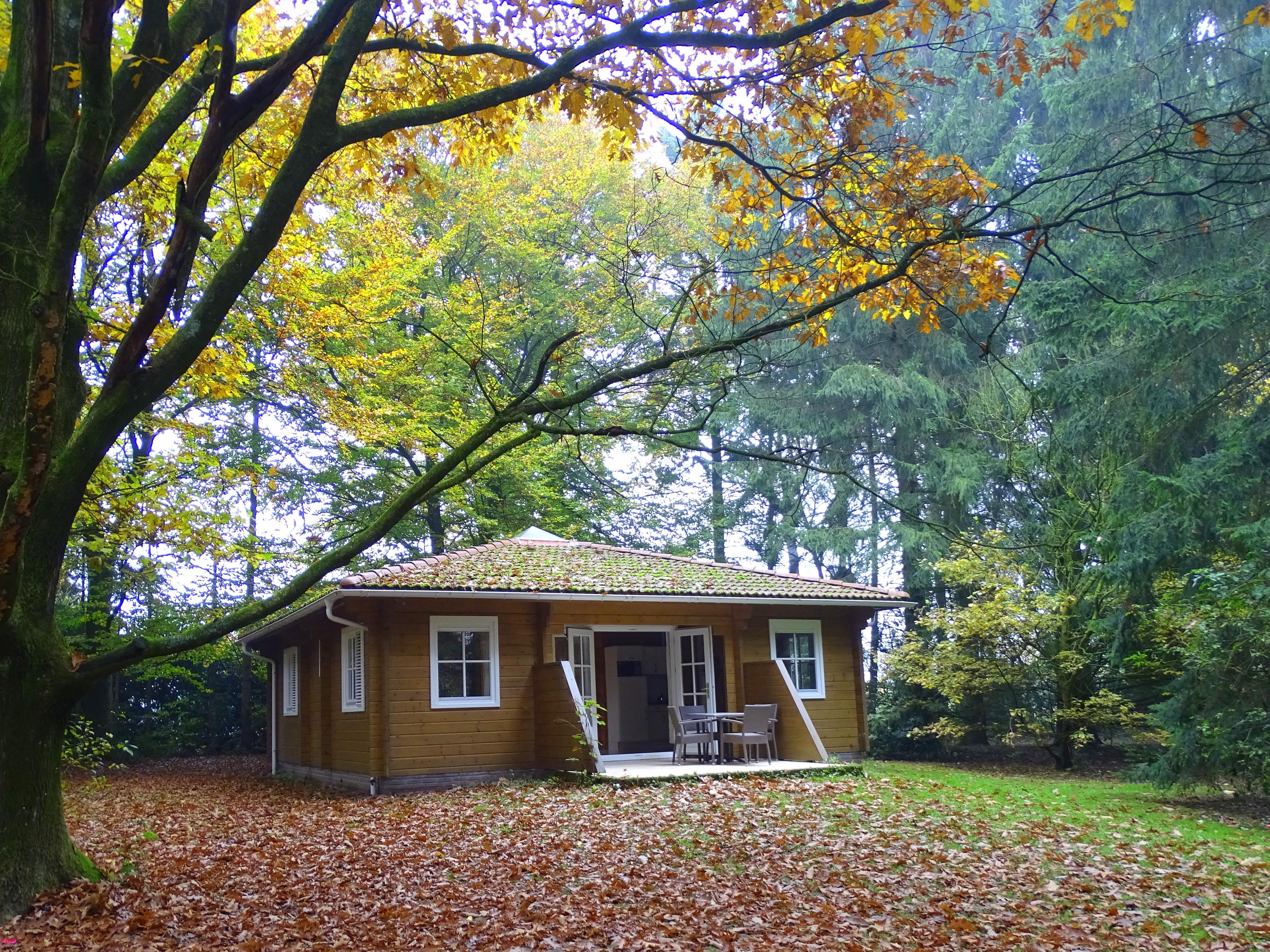 Nature house in Ermelo