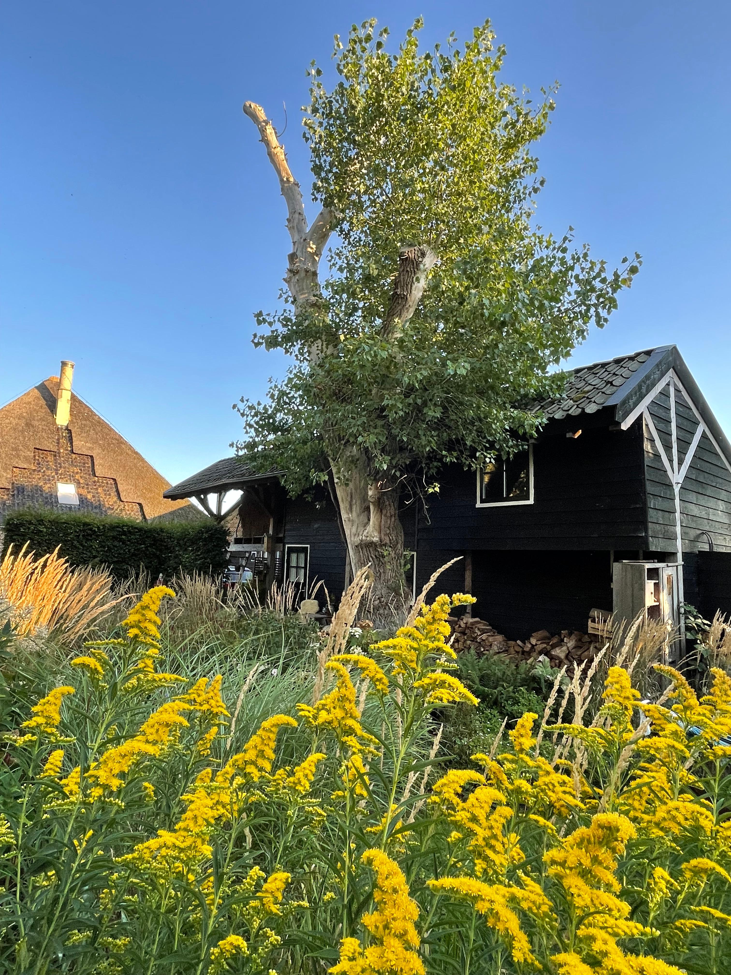 Nature house in Barsingerhorn