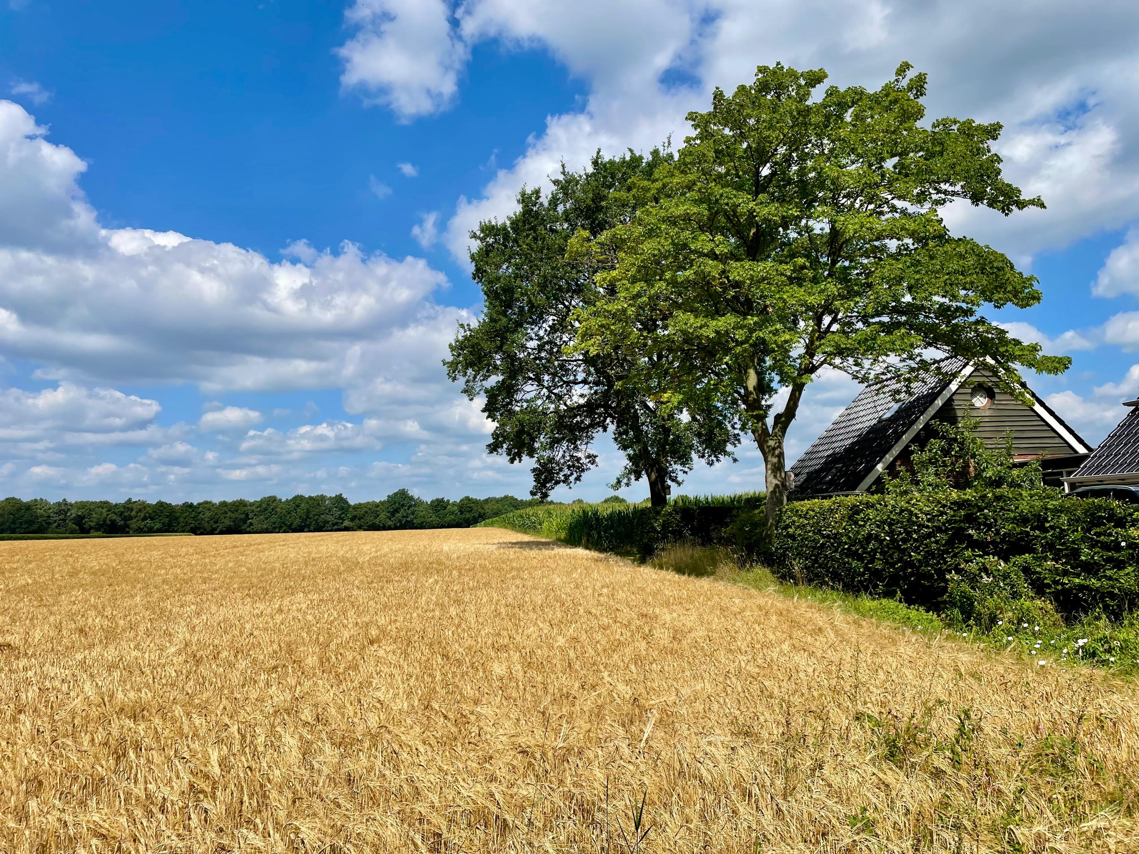 Natuurhuisje in Eldersloo