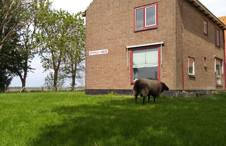 Natuurhuisje in Nagele