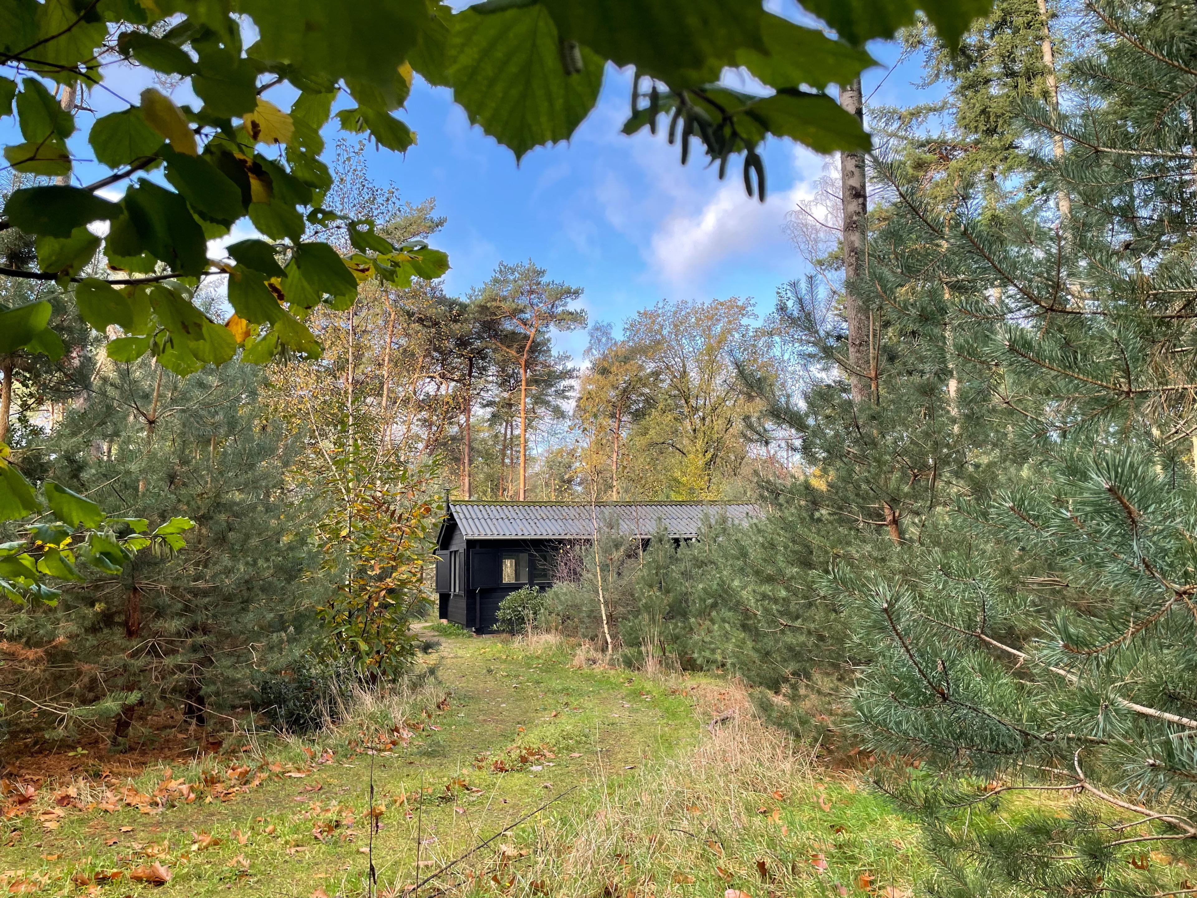 Maison nature à Holten