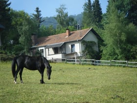 Casa nella natura a Honerath