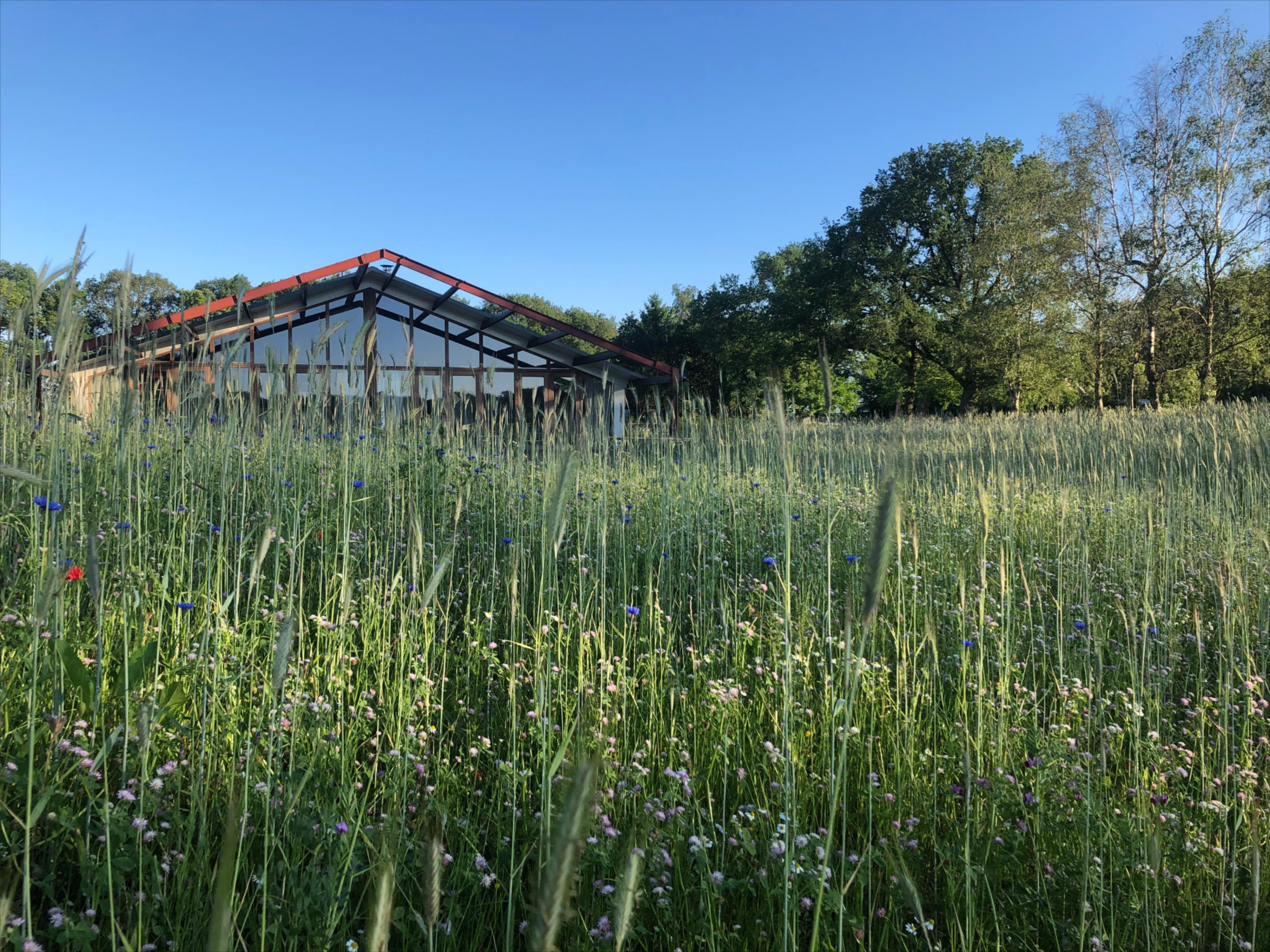 Natuurhuisje in Gilze