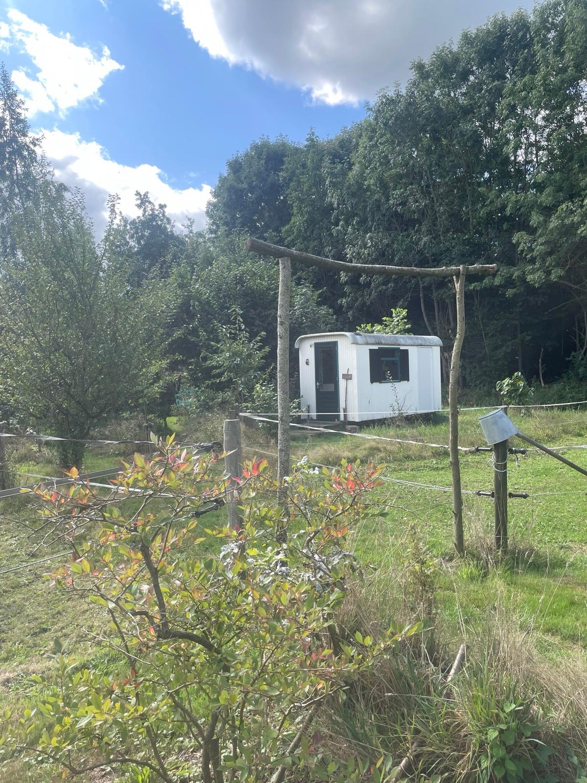 Natuurhuisje in Rotsterhaule