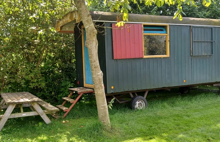 Natuurhuisje in Gemonde