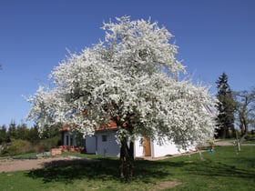 Nature house in Tuklaty