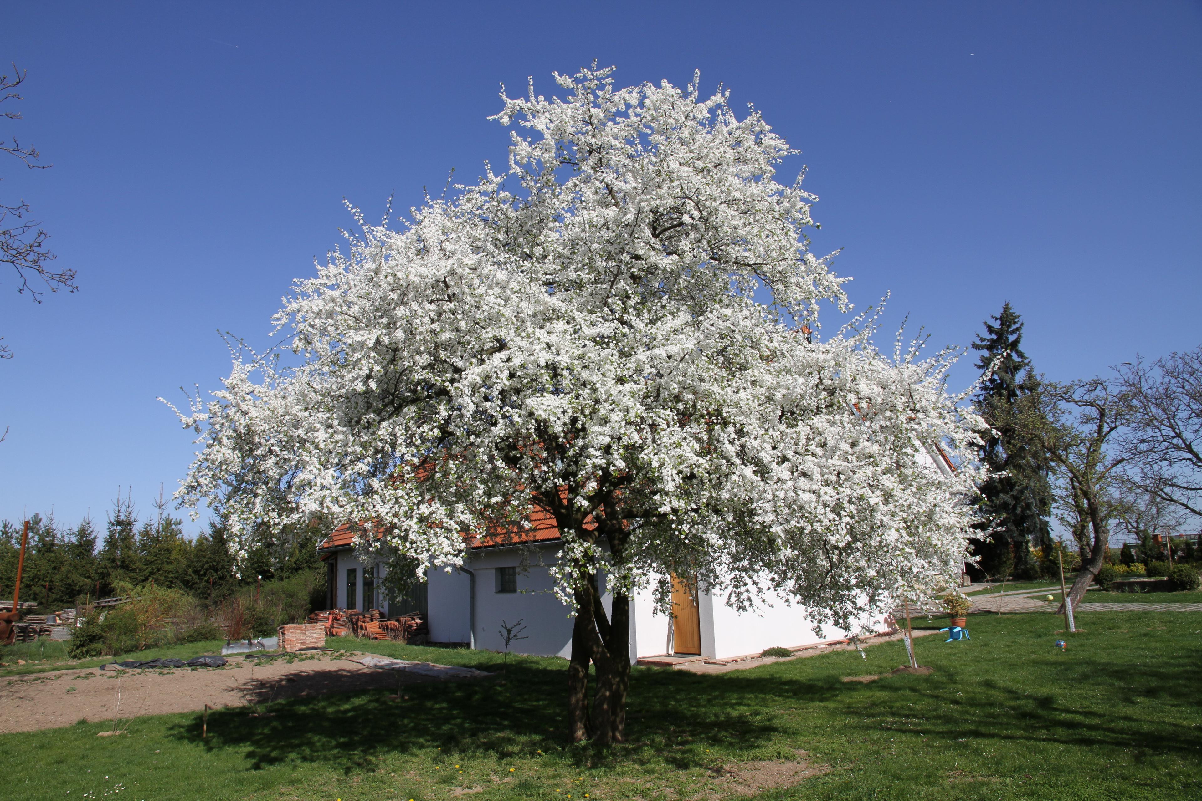 Nature house in Tuklaty