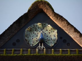 Natuurhuisje in Geersdijk